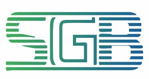saanvisglobal.com